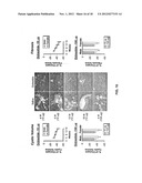 TREATING LIVER DISEASES diagram and image