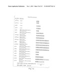 POLYPEPTIDE COMPOUNDS FOR INHIBITING ANGIOGENESIS AND TUMOR GROWTH diagram and image