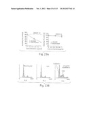 POLYPEPTIDE COMPOUNDS FOR INHIBITING ANGIOGENESIS AND TUMOR GROWTH diagram and image