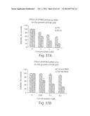 POLYPEPTIDE COMPOUNDS FOR INHIBITING ANGIOGENESIS AND TUMOR GROWTH diagram and image