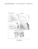 POLYPEPTIDE COMPOUNDS FOR INHIBITING ANGIOGENESIS AND TUMOR GROWTH diagram and image