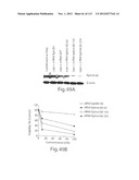 POLYPEPTIDE COMPOUNDS FOR INHIBITING ANGIOGENESIS AND TUMOR GROWTH diagram and image