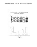 POLYPEPTIDE COMPOUNDS FOR INHIBITING ANGIOGENESIS AND TUMOR GROWTH diagram and image