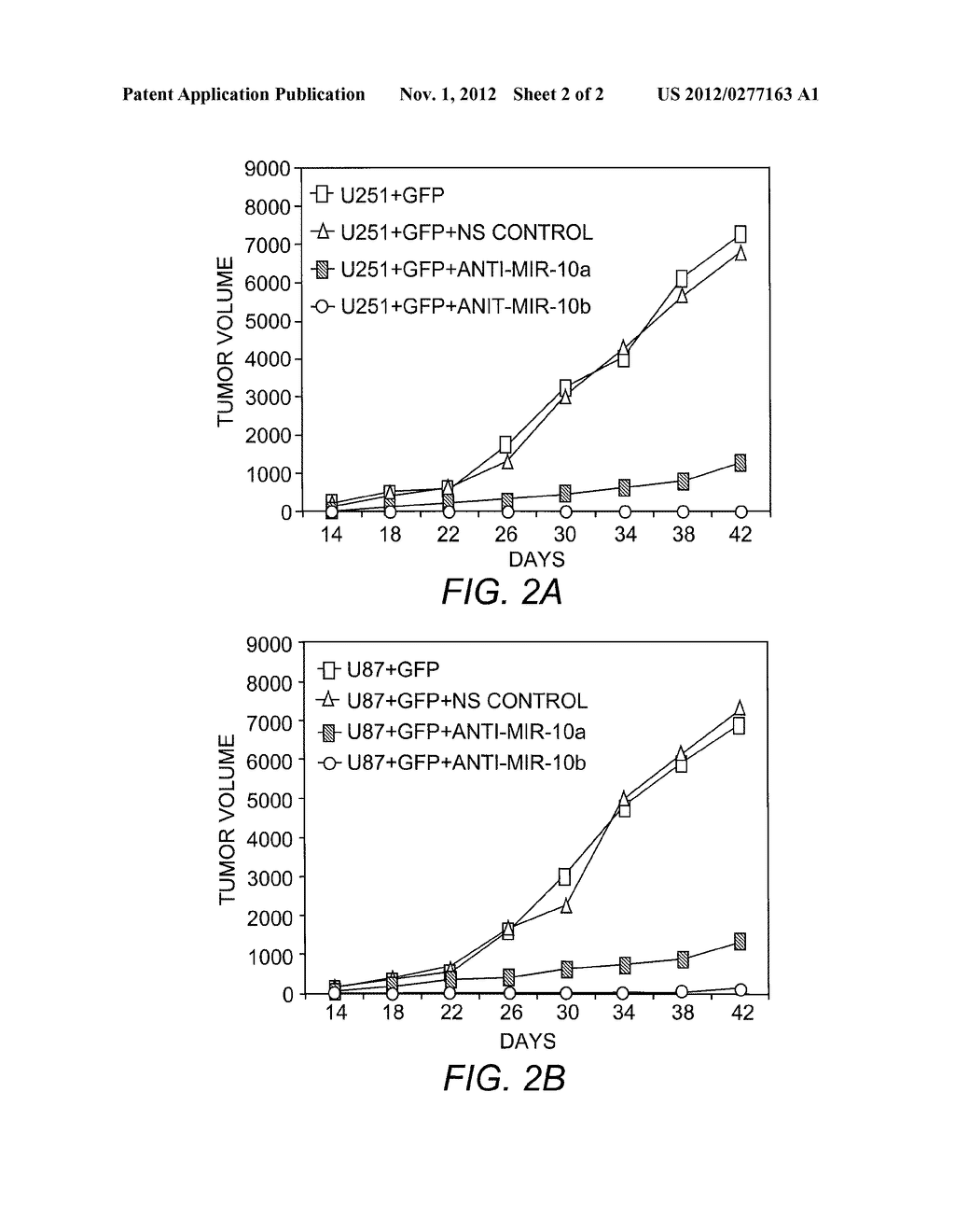 MicroRNA-10 Antagonists and MicroRNA-10 Targets for Use in the Treatment     of a Glioma - diagram, schematic, and image 03