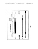 CONOTOXIN PEPTIDES USEFUL AS INHIBITORS OF NEURONAL AMINE TRANSPORTERS diagram and image