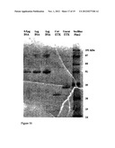 BLOCKERS OF PORE-FORMING VIRULENCE FACTORS AND THEIR USE AS     ANTI-INFECTIVES diagram and image