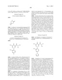 PYRIDAZINONE COMPOUNDS diagram and image