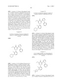 PYRIDAZINONE COMPOUNDS diagram and image