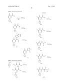 PYRIDAZINONE COMPOUNDS diagram and image