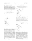 PYRIDAZINONE COMPOUNDS diagram and image