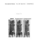 METHOD FOR INHIBITING MMP-9 DIMERIZATION diagram and image