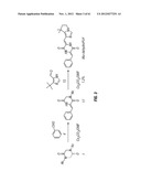 ANALOGS OF DEHYDROPHENYLAHISTINS AND THEIR THERAPEUTIC USE diagram and image