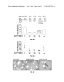 ANALOGS OF DEHYDROPHENYLAHISTINS AND THEIR THERAPEUTIC USE diagram and image