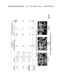 ANALOGS OF DEHYDROPHENYLAHISTINS AND THEIR THERAPEUTIC USE diagram and image