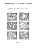 ANALOGS OF DEHYDROPHENYLAHISTINS AND THEIR THERAPEUTIC USE diagram and image