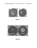 Antibacterial Agents and Methods of Use Thereof diagram and image