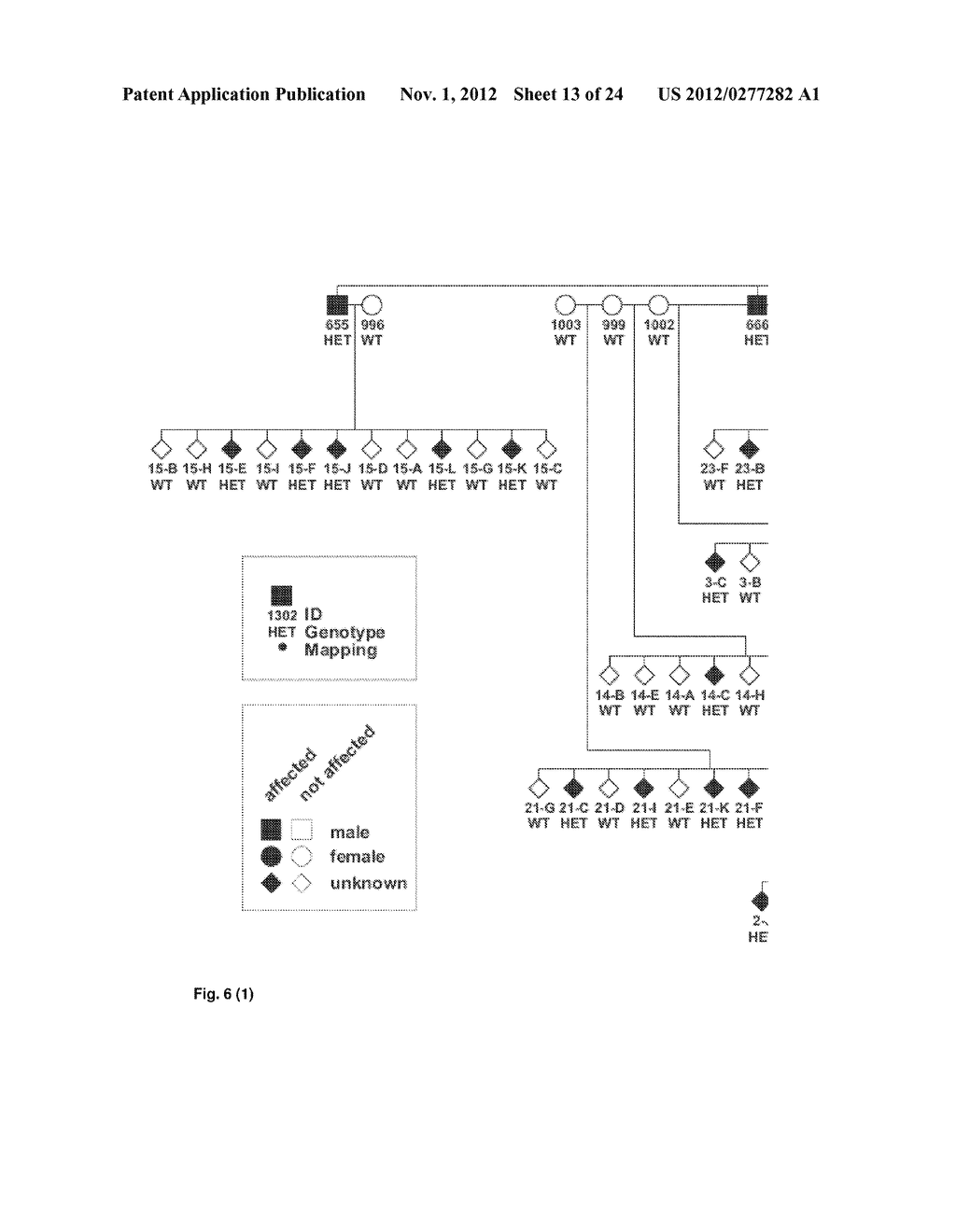 POLYNUCLEOTIDES FOR USE IN MEDICINE - diagram, schematic, and image 14