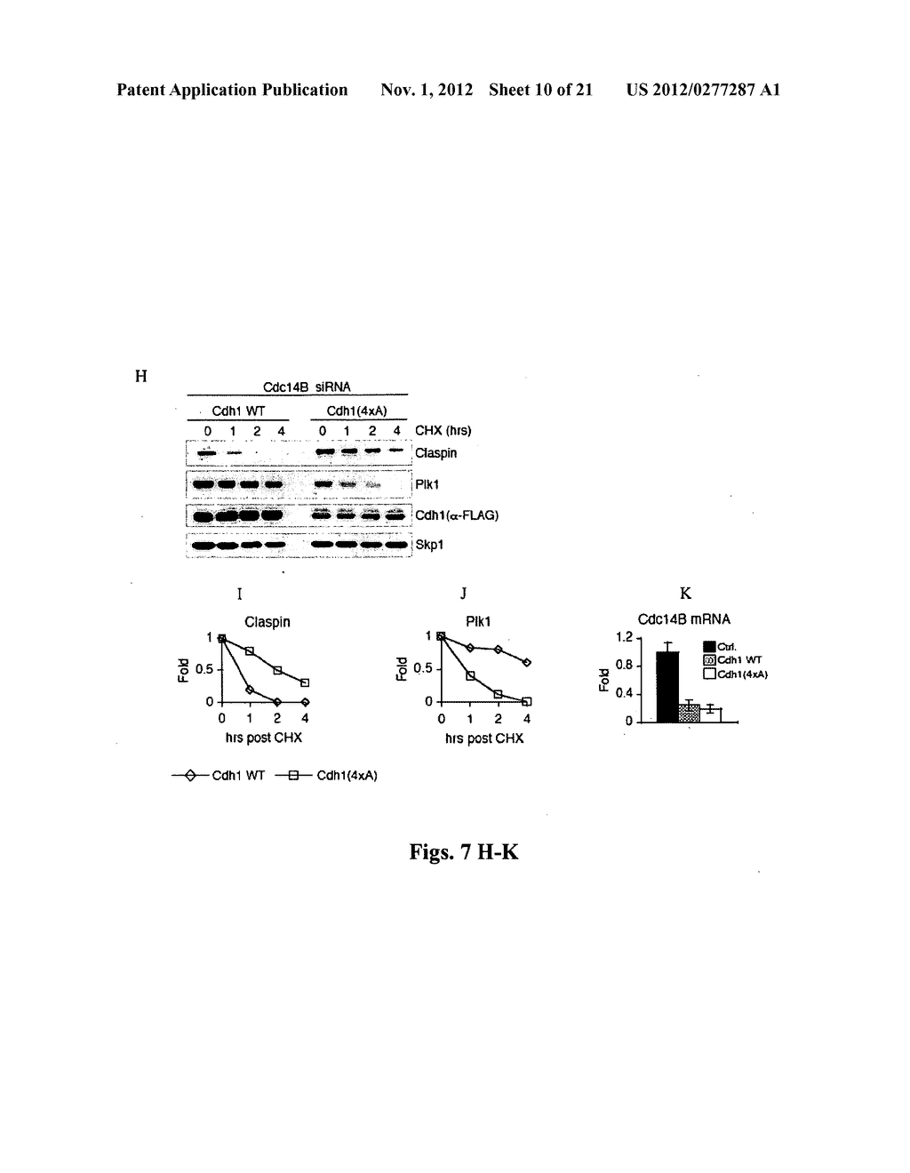 Modulating the CDC14B-CDH1-PLK1 Axis and Methods for Sensitizing Target     Cells to Apoptosis - diagram, schematic, and image 11