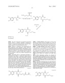 NOVEL CONJUGATES FOR TREATING NEURODEGENERATIVE DISEASES AND DISORDERS diagram and image