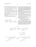 NOVEL CONJUGATES FOR TREATING NEURODEGENERATIVE DISEASES AND DISORDERS diagram and image