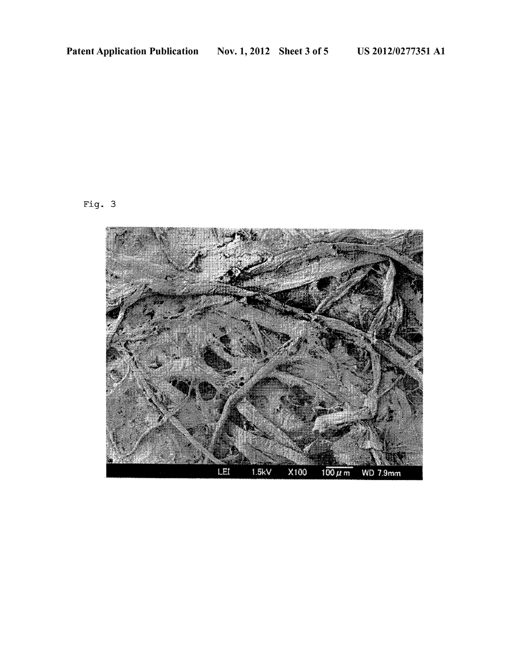 CELLULOSE NANOFIBERS - diagram, schematic, and image 04