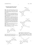 SEMICONDUCTOR MATERIALS BASED ON DITHIENOPYRIDONE COPOLYMERS diagram and image