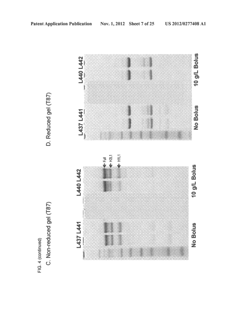 HIGH-PURITY PRODUCTION OF MULTI-SUBUNIT PROTEINS SUCH AS ANTIBODIES IN     TRANSFORMED MICROBES SUCH AS PICHIA PASTORIS - diagram, schematic, and image 08