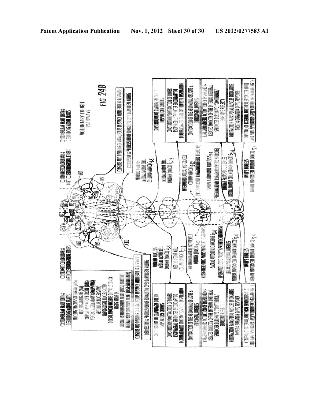 SYSTEM AND METHOD FOR TESTING THE GASTRIC VALVE - diagram, schematic, and image 31
