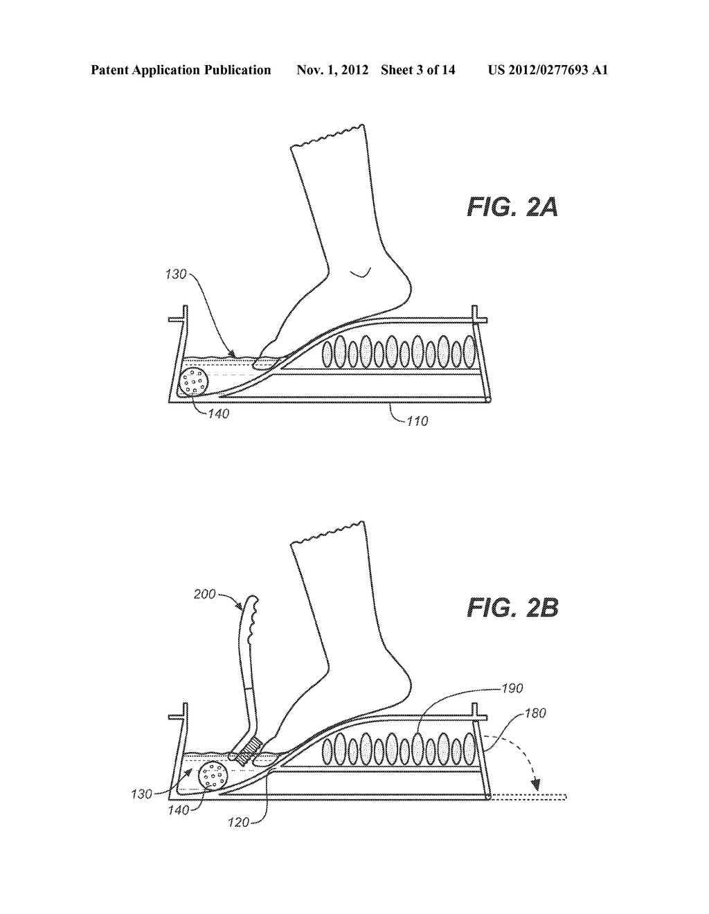 METHOD AND APPARATUS FOR IMPROVING THE APPEARANCE OF NAILS AFFECTED BY     ONYCHOMYCOSIS THROUGH THE TOPICAL APPLICATION OF AN AQUEOUS SOLUTION     CONTAINING BORIC ACID AND CAMPHOR OR OTHER TERPENES - diagram, schematic, and image 04