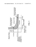 TISSUE ABLATION WITH IRREVERSIBLE ELECTROPORATION diagram and image