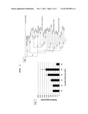 METHODS AND COMPOSITIONS FOR REGULATING PRODUCTION OF PROANTHOCYANIDINS diagram and image