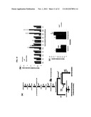 METHODS AND COMPOSITIONS FOR REGULATING PRODUCTION OF PROANTHOCYANIDINS diagram and image