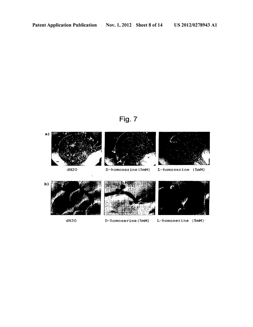 Disease Resistant Plants - diagram, schematic, and image 09