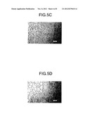 COPPER ALLOY PLATE AND METHOD FOR PRODUCING SAME diagram and image