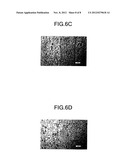 COPPER ALLOY PLATE AND METHOD FOR PRODUCING SAME diagram and image