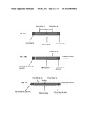 SYSTEMS AND METHODS FOR HOLOGRAPHIC SIMULTANEOUS LOCALIZATION AND MAPPING diagram and image