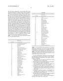 COMBINATION GRAVEL SPREADER/PAVER GEO-TEXTILE FABRIC INSTALLER APPARATUS diagram and image