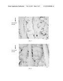 NICKEL-BASE ALLOY diagram and image