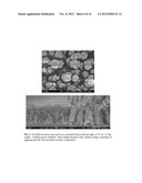 METAL AND METAL OXIDE STRUCTURES AND PREPARATION THEREOF diagram and image