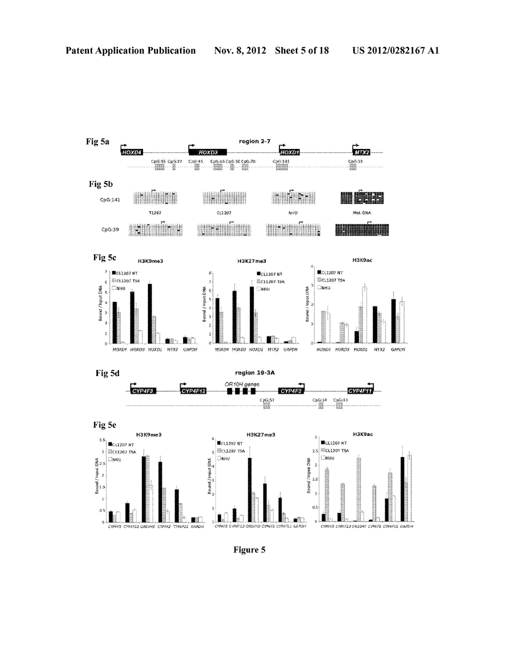 METHOD FOR PREDICTING THE SENSITIVITY OF A TUMOR TO AN EPIGENETIC     TREATMENT - diagram, schematic, and image 06