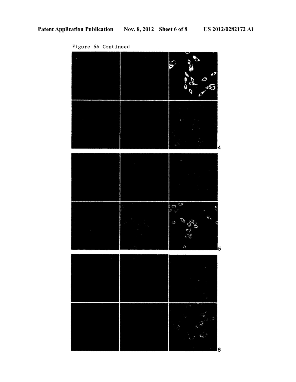 TARGETED DELIVERY TO HUMAN DISEASES AND DISORDERS - diagram, schematic, and image 07