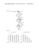 PHARMACEUTICAL COMPOSITION COMPRISING ANTI-HB-EGF ANTIBODY AS ACTIVE     INGREDIENT diagram and image