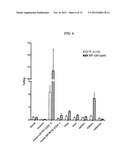 Methods and Compositions for Improved F-18 Labeling of Proteins, Peptides     and Other Molecules diagram and image