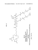 Methods and Compositions for Improved F-18 Labeling of Proteins, Peptides     and Other Molecules diagram and image