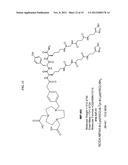 Methods and Compositions for Improved F-18 Labeling of Proteins, Peptides     and Other Molecules diagram and image