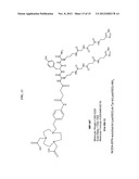 Methods and Compositions for Improved F-18 Labeling of Proteins, Peptides     and Other Molecules diagram and image