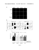 PROGNOSTIC,. SCREENING AND TREATMENT METHODS AND AGENTS FOR TREATMENT OF     METASTASIS AND INFLAMMATION USING 5T4 ONCOFOETAL GLYCOPROTEIN diagram and image