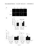 PROGNOSTIC,. SCREENING AND TREATMENT METHODS AND AGENTS FOR TREATMENT OF     METASTASIS AND INFLAMMATION USING 5T4 ONCOFOETAL GLYCOPROTEIN diagram and image