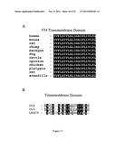 PROGNOSTIC,. SCREENING AND TREATMENT METHODS AND AGENTS FOR TREATMENT OF     METASTASIS AND INFLAMMATION USING 5T4 ONCOFOETAL GLYCOPROTEIN diagram and image