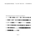 PROGNOSTIC,. SCREENING AND TREATMENT METHODS AND AGENTS FOR TREATMENT OF     METASTASIS AND INFLAMMATION USING 5T4 ONCOFOETAL GLYCOPROTEIN diagram and image